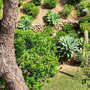 Apartment Elena Flat A Little Paradise Right On The, Sitio de Calahonda